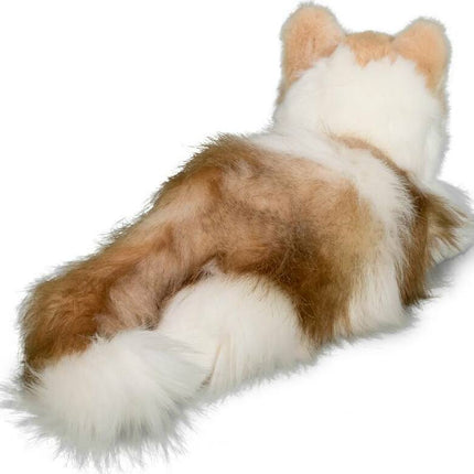 Kiki Ragdoll Cat