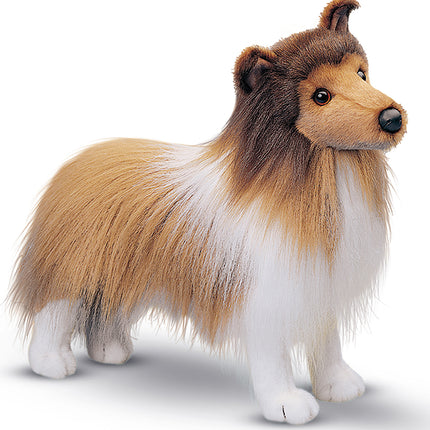 Dixie Sheltie