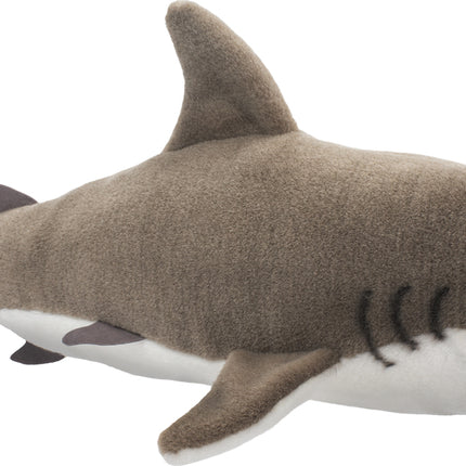 Fin Great White Shark
