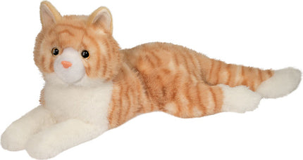 Mango Orange Cat