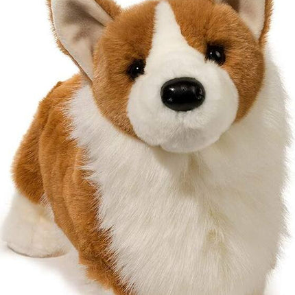 Chadwick Corgi