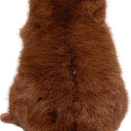 Bev Beaver