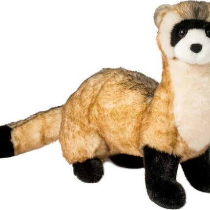 Vince Black Footed Ferret