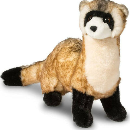 Vince Black Footed Ferret