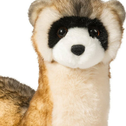 Vince Black Footed Ferret