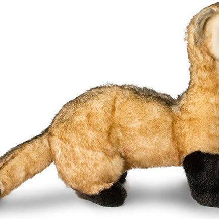 Vince Black Footed Ferret
