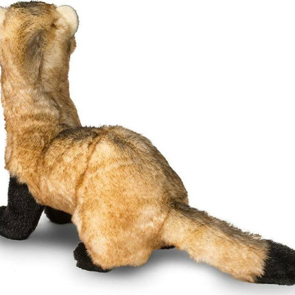 Vince Black Footed Ferret