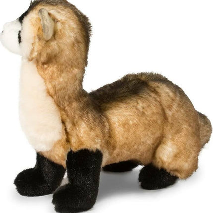 Vince Black Footed Ferret