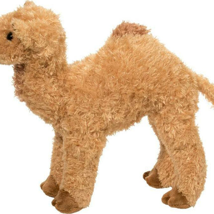 Lawrence Camel