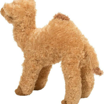 Lawrence Camel