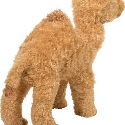 Lawrence Camel