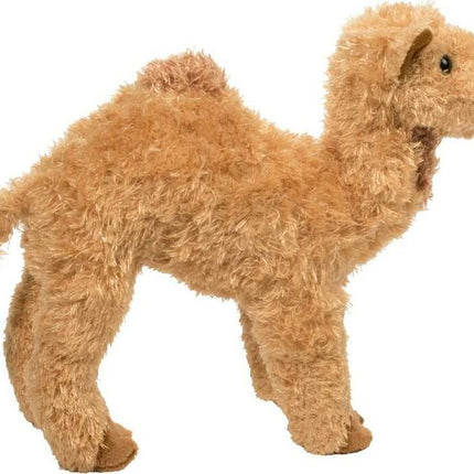 Lawrence Camel