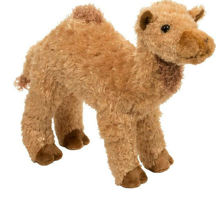 Lawrence Camel