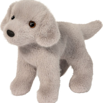 Slate Silver Lab