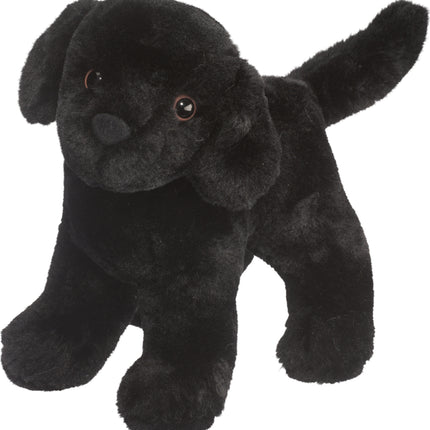 Abraham Black Lab