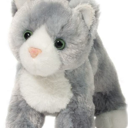 Scatter Gray Cat