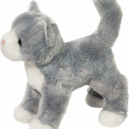 Scatter Gray Cat