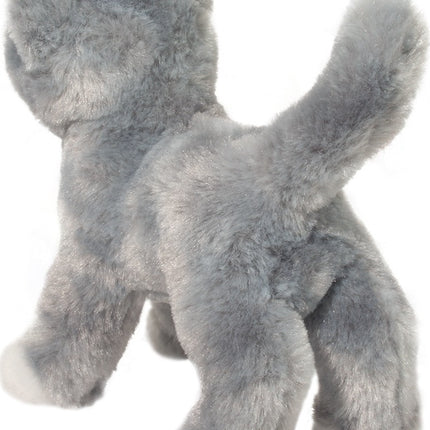 Scatter Gray Cat