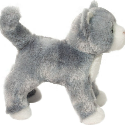 Scatter Gray Cat