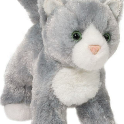 Scatter Gray Cat