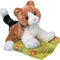 Maps Calico Cat