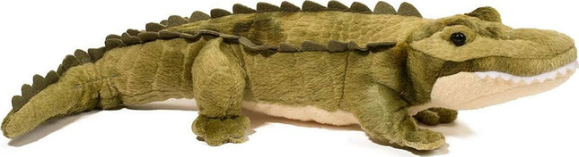 Stream Line Alligator