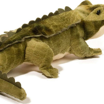Stream Line Alligator