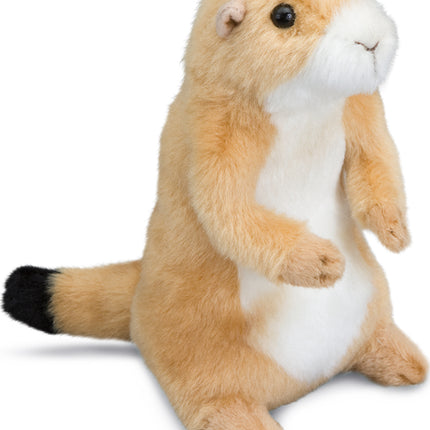 Digger Prairie Dog