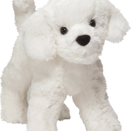 Dandelion Puff Bichon