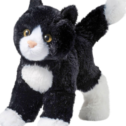 Snippy Black & White Cat