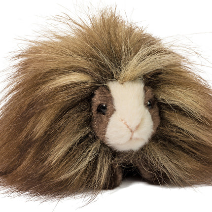 Angora Guinea Pig