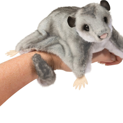 Squeek Sugar Glider