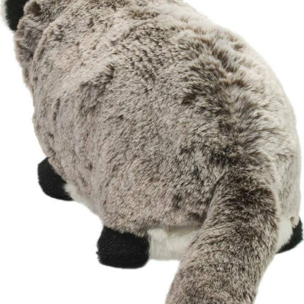 Barry Badger