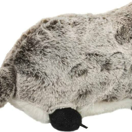 Barry Badger