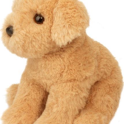 Mini Goldie Soft Golden Retriever