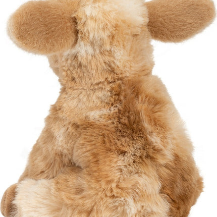 Mini Dandie Soft Goat
