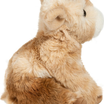 Mini Dandie Soft Goat