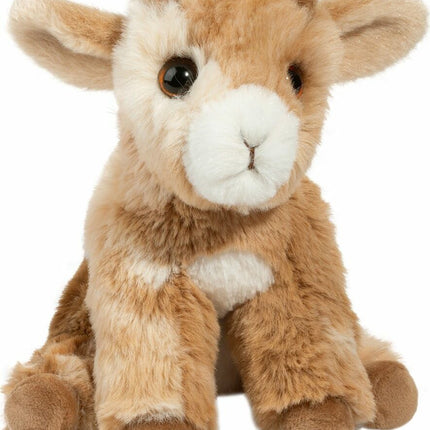 Mini Dandie Soft Goat