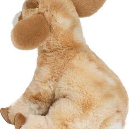 Dandie Soft Goat