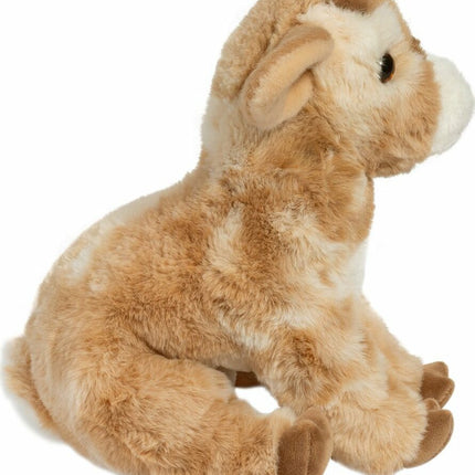 Dandie Soft Goat