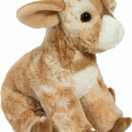 Dandie Soft Goat