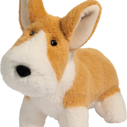 Carl Corgi Muzzle