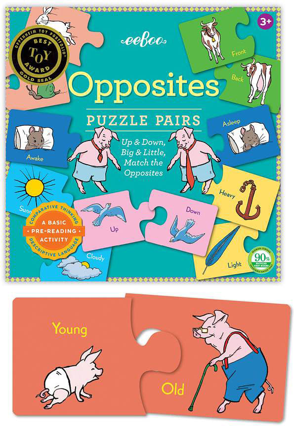 Opposites Puzzle Pairs