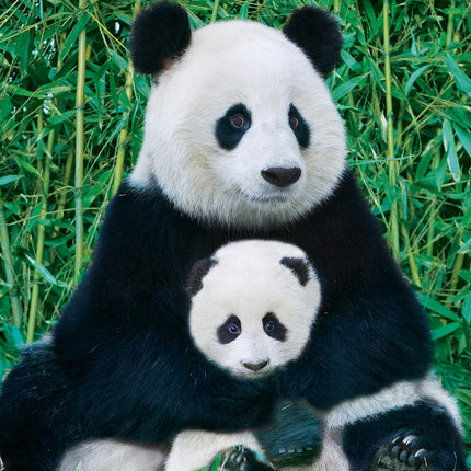 Panda  Baby 1000-piece Puzzle