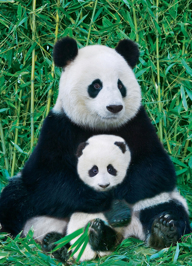 Panda  Baby 1000-piece Puzzle