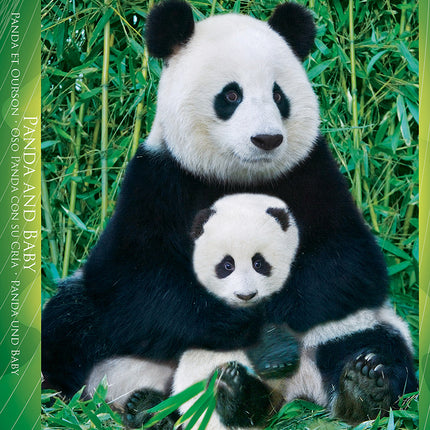 Panda  Baby 1000-piece Puzzle