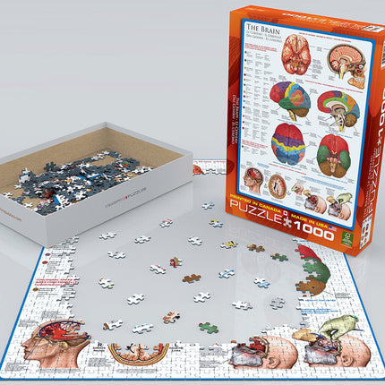 The Brain 1000-piece Puzzle