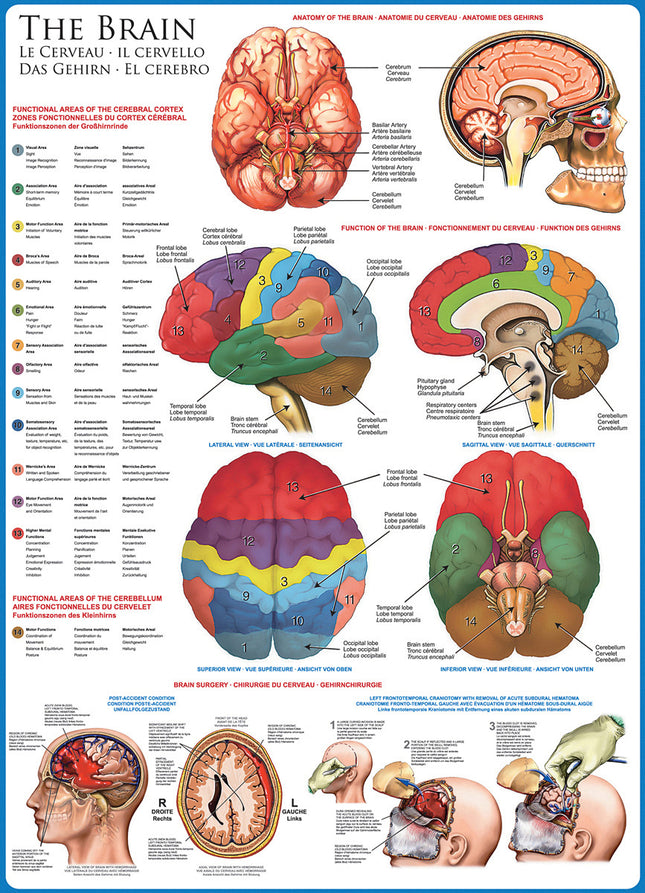 The Brain 1000-piece Puzzle