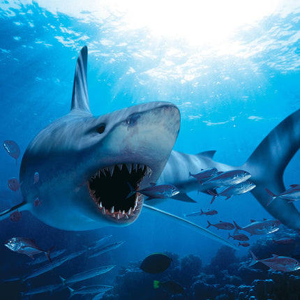 Hungry Shark 1000-piece Puzzle