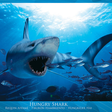 Hungry Shark 1000-piece Puzzle